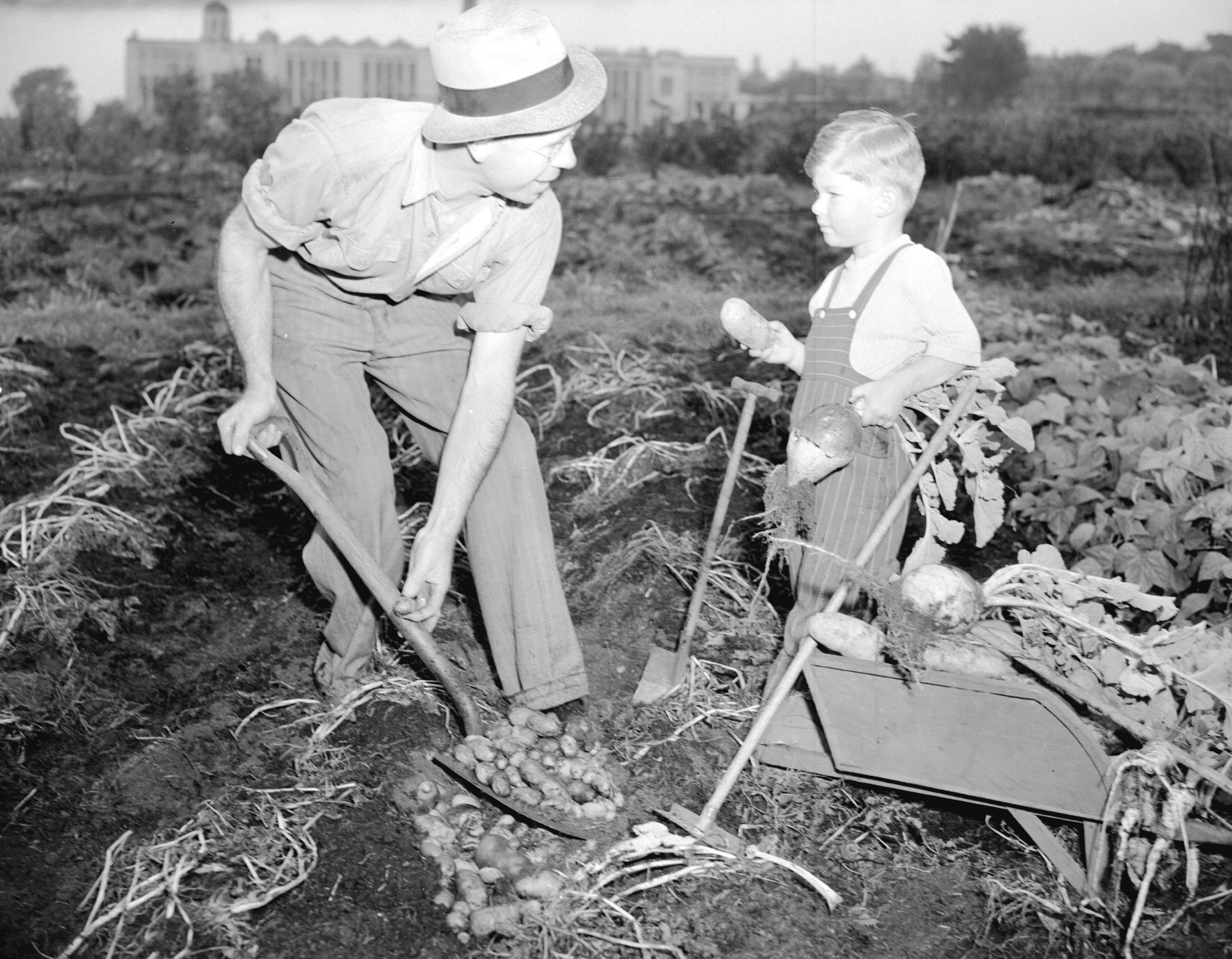 Vancouver Victory Garden