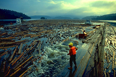 Logging, Gatineau River