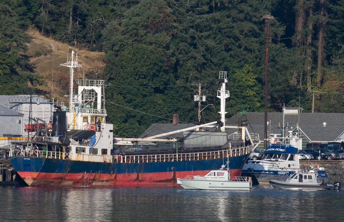 MV Sun Sea at CFB Esquimalt (2010) A docked blue and red ship surrounded by smaller ship. There are building and trees in the background.