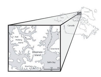 Fossiles de l'Éocène de l'île d'Ellesmere