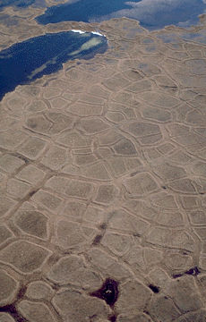 Permafrost Polygon