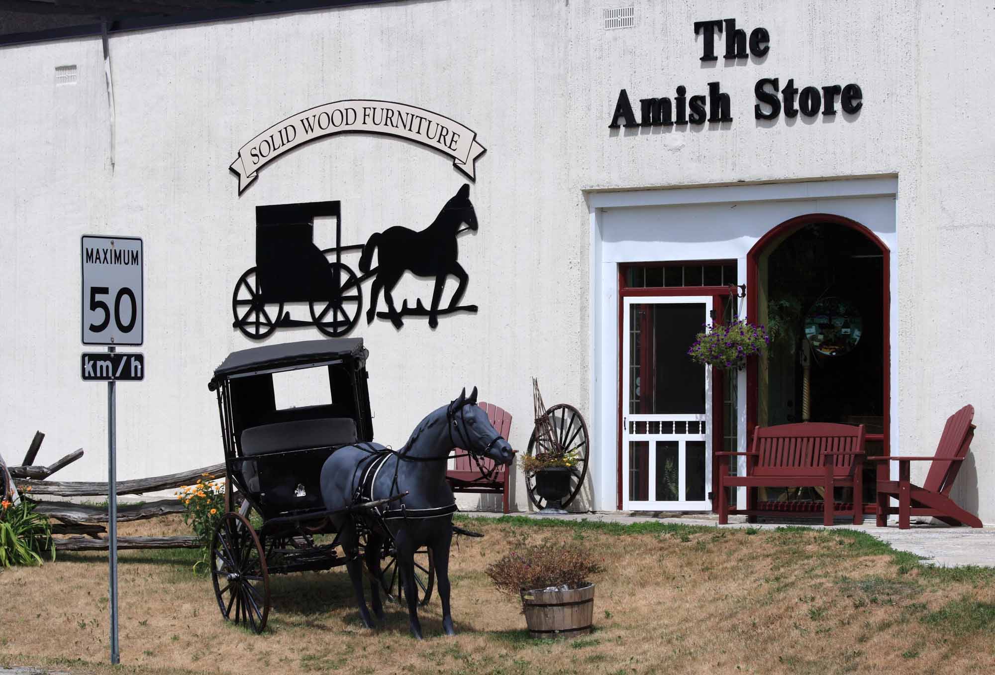 The Amish Store