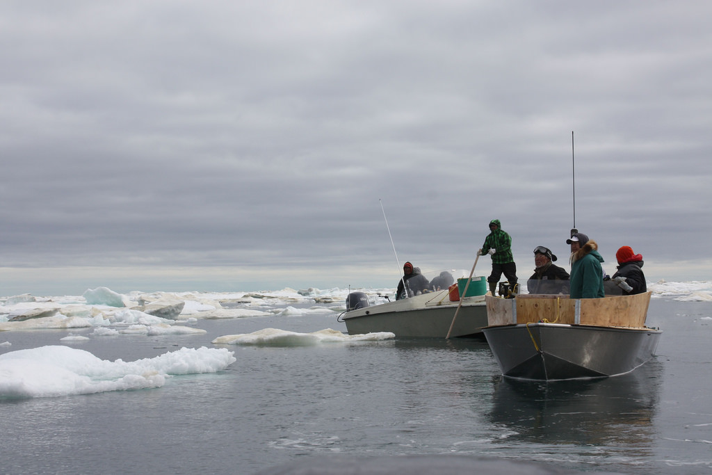 Igloolikmiut hunters