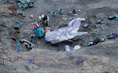 Hadrosaur Dig Hadrosaur Dig