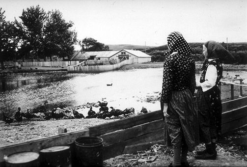 Hutterite Settlers