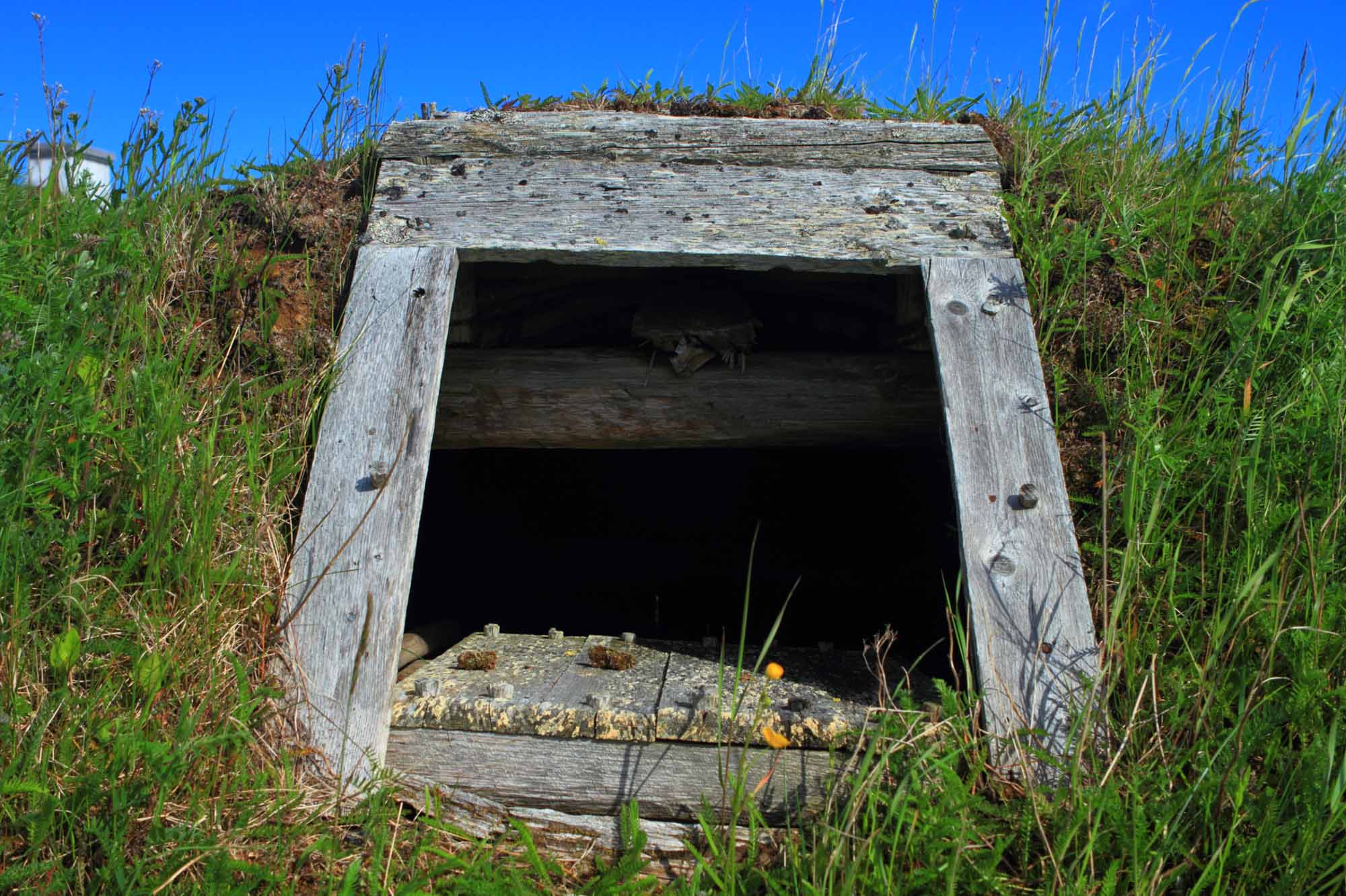 Viking settlement