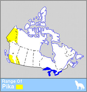 Pika Distribution