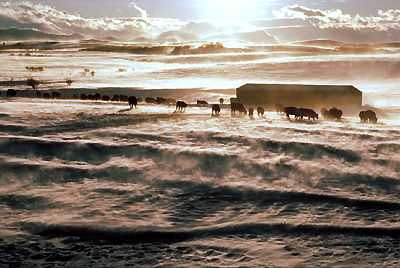 Tempête d'hiver