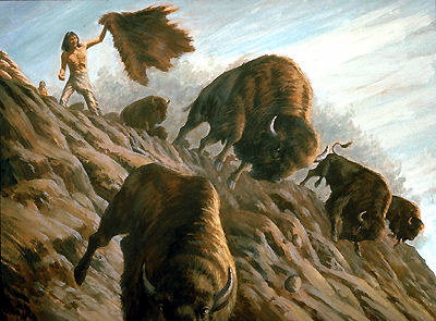 Chasse aux bisons