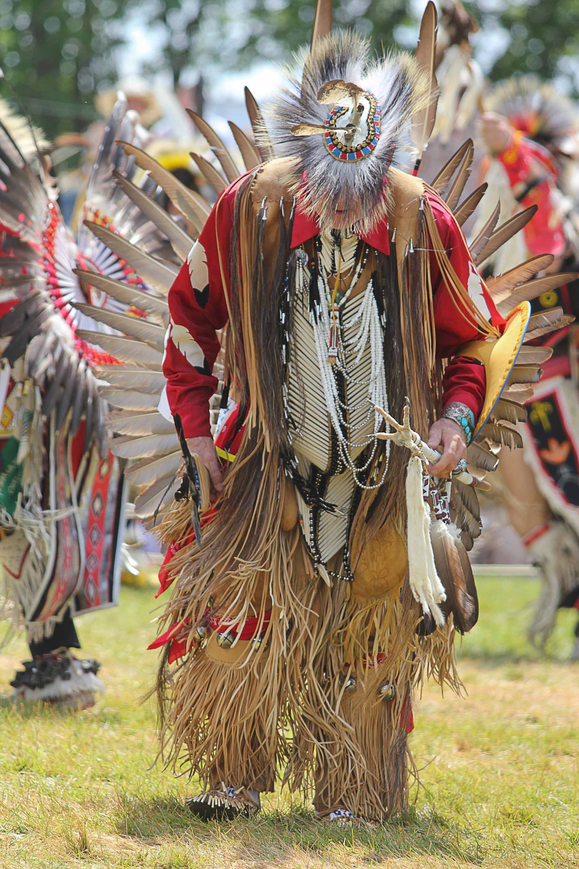 Haudenosaunee Iroquois The Canadian Encyclopedia Haudenosaunee Iroquois The Canadian Encyclopedia