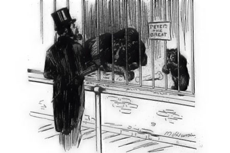 The bear Peter the Great