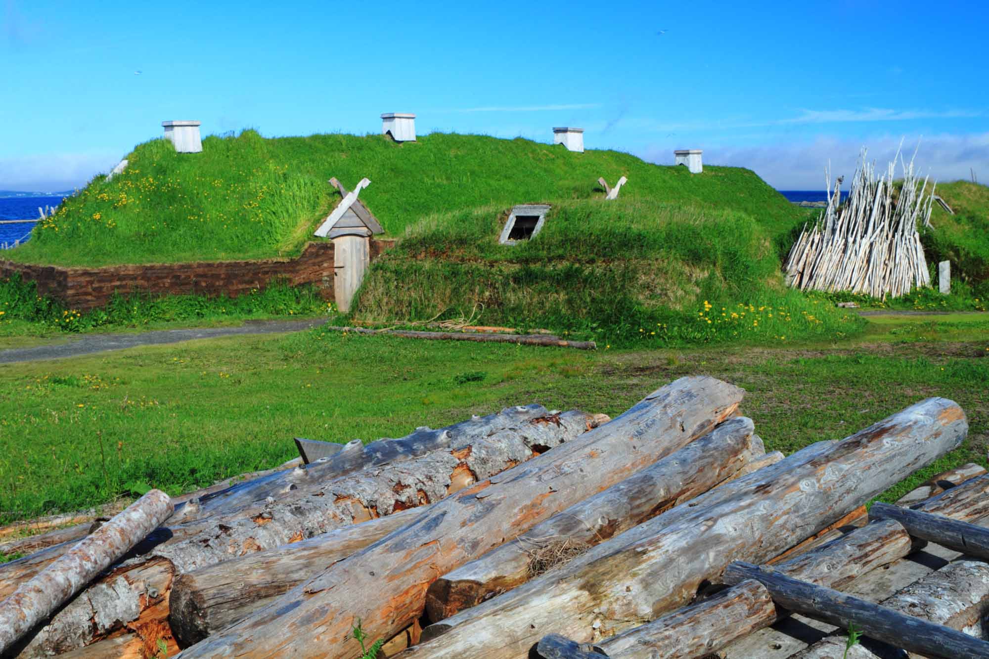 Habitations vikings
