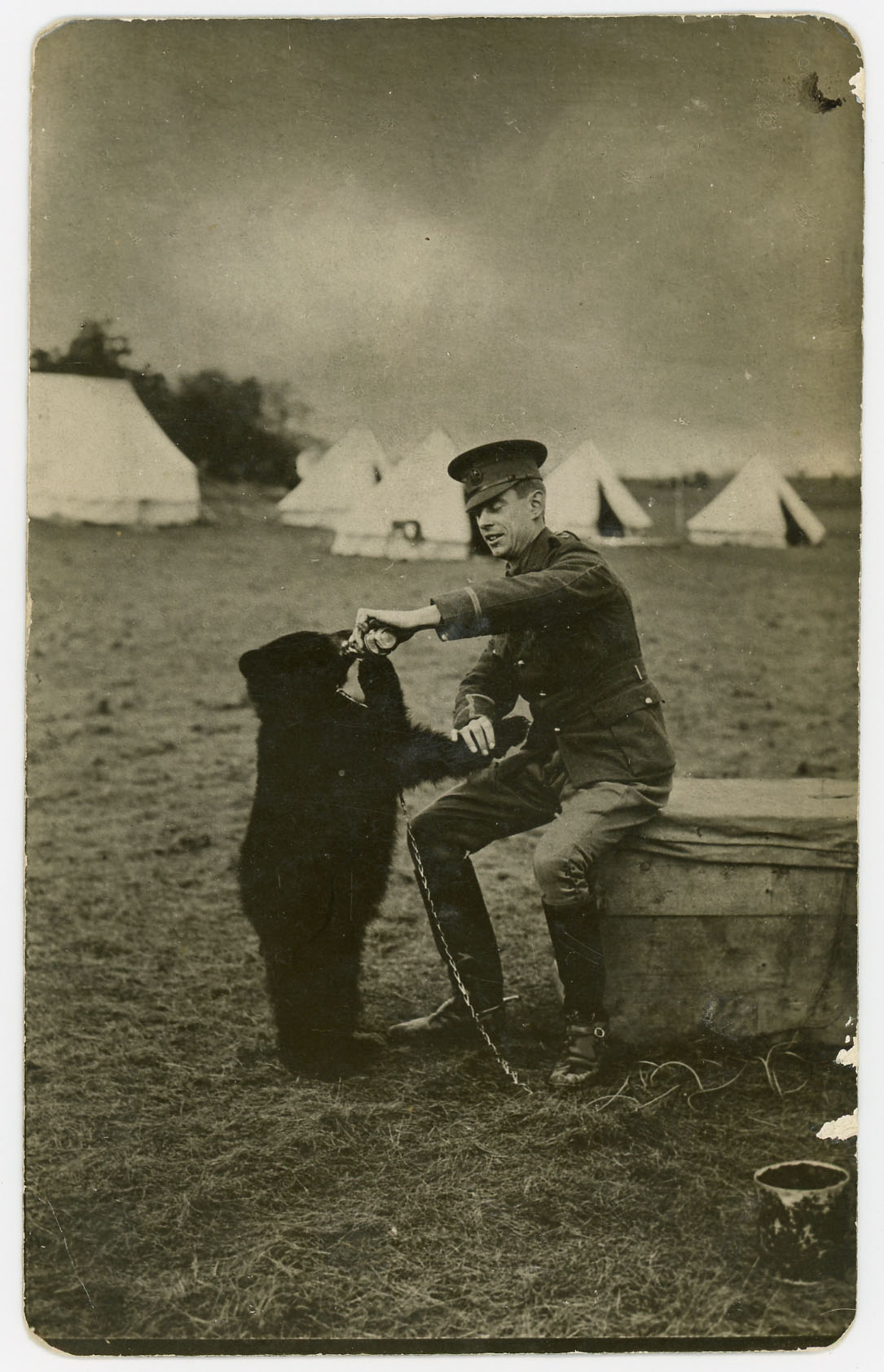 Harry Colebourn Feeding Winnie