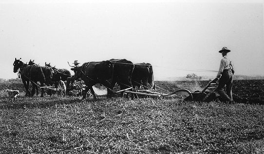 Breaking Prairie Sod