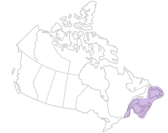 Appalachian Orogen Geological Region