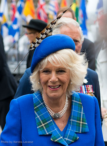 Duchess of Cornwall, 2014