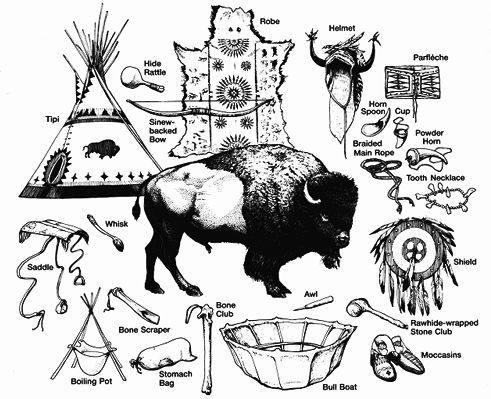 Uses of the Buffalo (Bison)