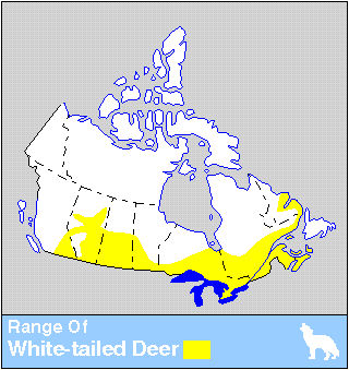 White-tailed Deer Distribution