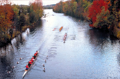 Regatta