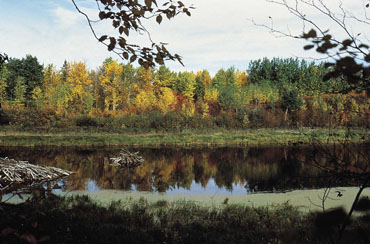 Elk Island Park