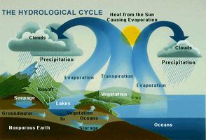 Water Cycle