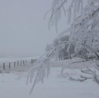 Hoarfrost