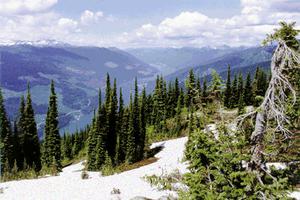 Mont-Revelstoke, parc national du