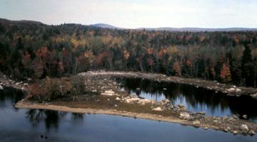 Mud Lake Stream Aerial View 