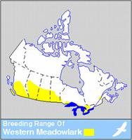 Western Meadowlark Distribution