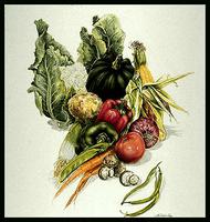 Vegetable | The Canadian Encyclopedia