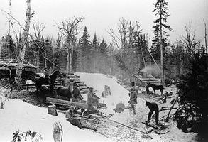 Chantier forestier au XIXe siècle