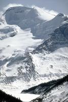 Columbia, champ de glace