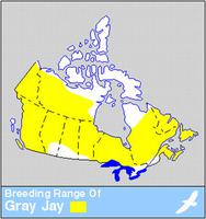 Mésangeai du Canada, répartition du