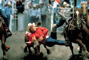 Steer Wrestling