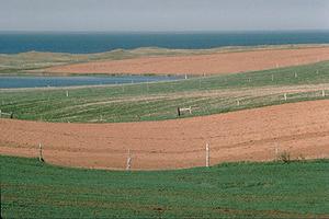 Red Soil, PEI