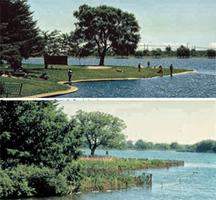 Grenadier Pond Naturalized