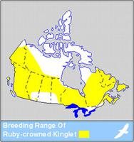 Ruby-crowned Kinglet Distribution