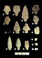 Mud Lake Stream Archaic Lithics