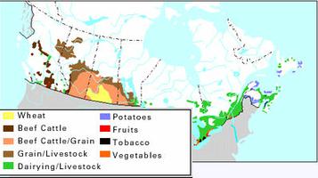 Dairying Map