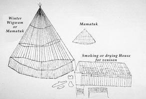 Béothuk, wigwam (d