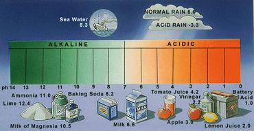 Acidité, niveau d