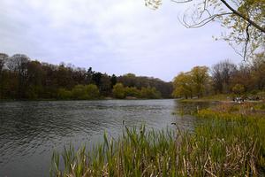 Grenadier Pond