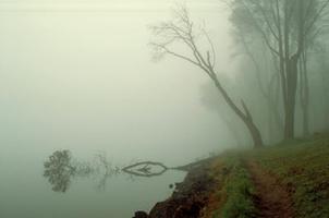 De la brume et du brouillard – Les Portes du Sidh