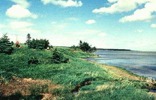 Saltwater Lagoon Archaeological Sites