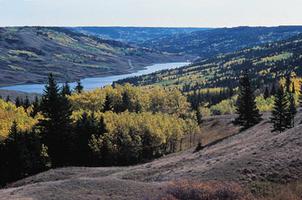 Cypress Hills