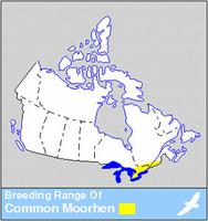 Gallinule Distribution