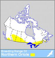 Northern Oriole Distribution