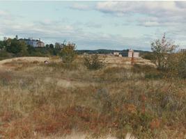 Bentley Street Archaeological Site (b)