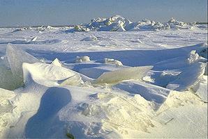 Arctique, glaces de l