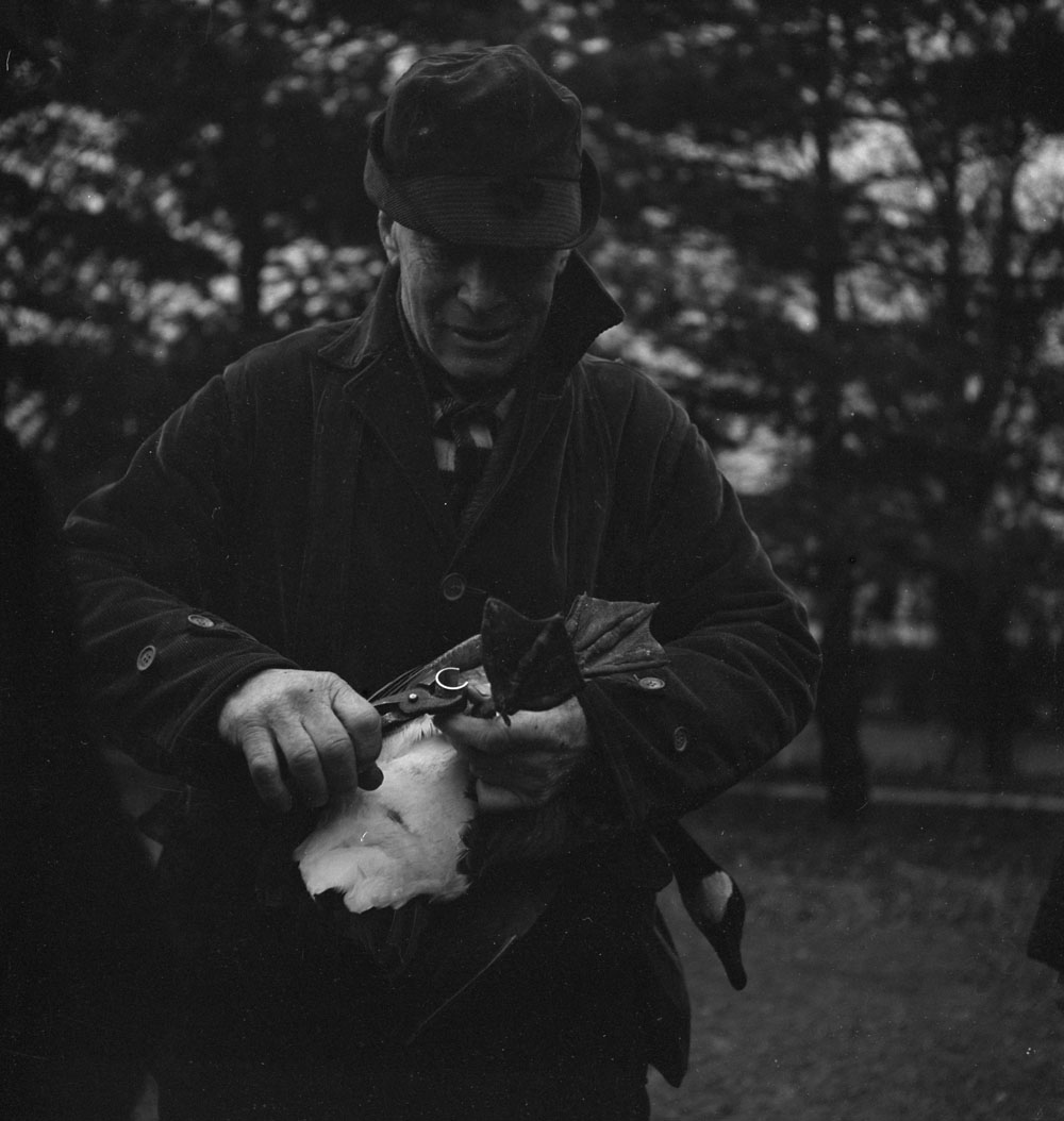 Jack Miner Jack Miner